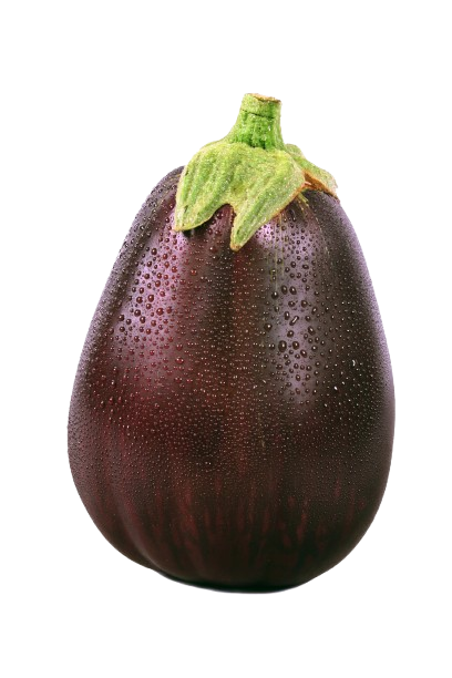 Eggplant Round